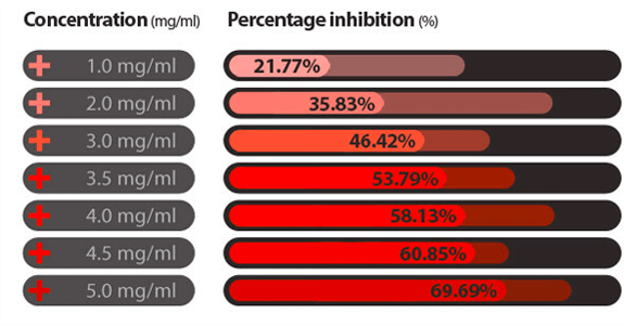 Prosolution Medical